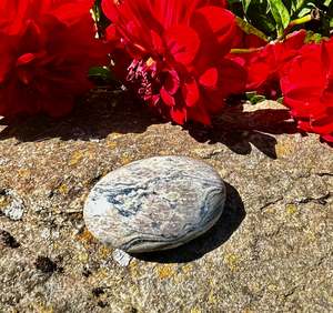Zebra Jasper Palm Stone