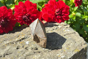 Bronzite Tower Lge