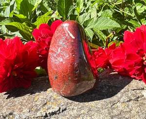 Red Jasper Free Form
