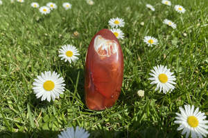 Carnelian Free Form