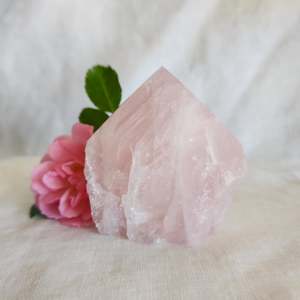 Rose Quartz | Polished Point B