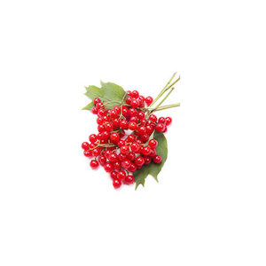 Products: Currant fruit