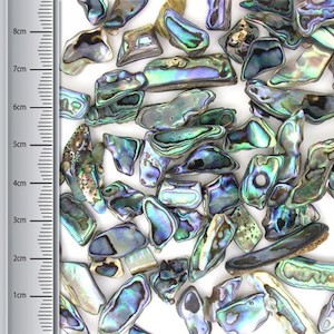 Paua Pieces: Paua Pieces, Extra Small (100gms)