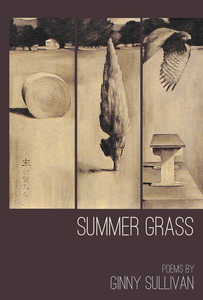 Summer Grass – Steele Roberts Aotearoa