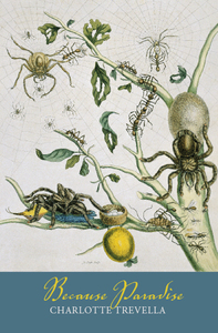 Because Paradise – Steele Roberts Aotearoa