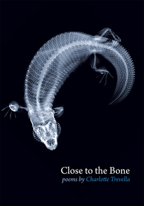 Close to the Bone – Steele Roberts Aotearoa