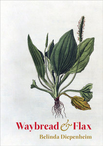 Waybread & Flax – Steele Roberts Aotearoa