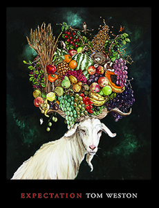 Products: Expectation – Steele Roberts Aotearoa