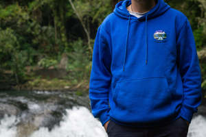 Hoodies 3: Blue Steezy Kiwi hoodie