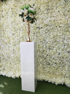 Products: White Plinth or Big Vase Stellar Backdrops