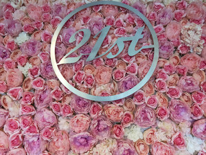 Products: 21st sign Stellar Backdrops