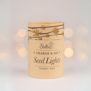 Seed Lights: Charge & Go. Rechargeable Silver Wire Seed Lights