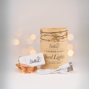 Seed Lights: Charge & Go. Rechargeable Copper Wire Seed Lights