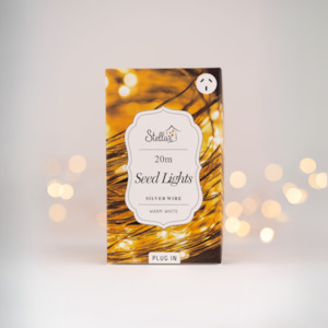 20m Plug In Silver Warm White 200 LED Seed Light String