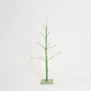 Green Arctic Birch Tree