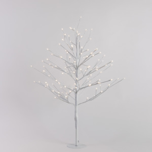 White Twig Tree