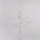 White Twig Tree