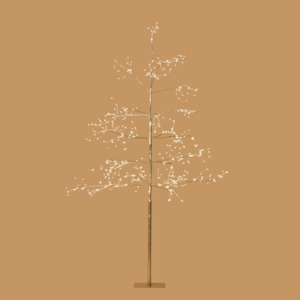 Trees: Champagne Arctic Birch Tree