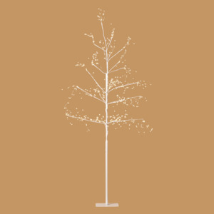 Trees: White Arctic Birch Tree