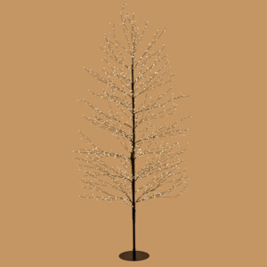 Trees: Black Willow Tree