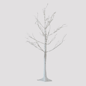 Trees: White Twinkle Birch Tree
