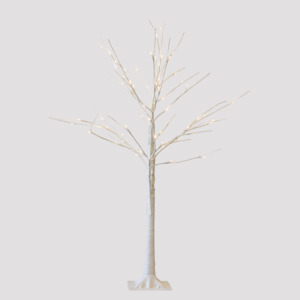 Trees: White Birch Tree