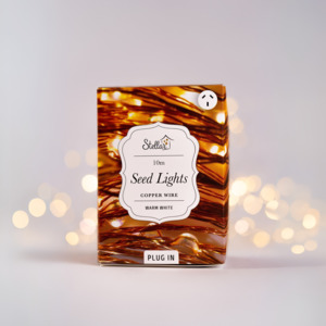 10m Plug In Copper WW 100 LED Seed Light String