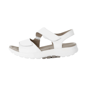 Products: Gest white