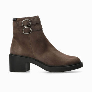 Paisley Ice Brown