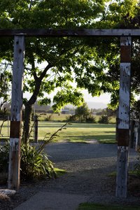 Products: Rest & Restore Yoga Day Retreat - Stepping Stones