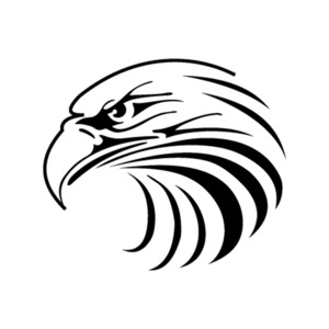 Animals Birds Dragons - STICKERshop.nz: Eagle Head