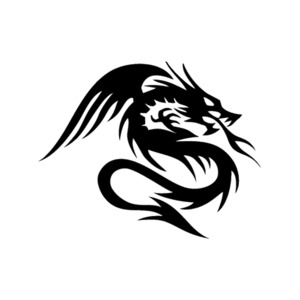 Animals Birds Dragons - STICKERshop.nz: Dragon with Flames