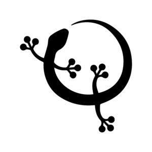 Animals Birds Dragons - STICKERshop.nz: Salamander