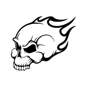 Skulls Bones - STICKERshop.nz: Skull Flames