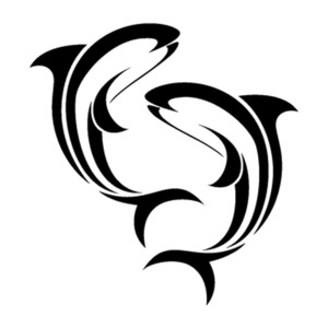 Animals Birds Dragons - STICKERshop.nz: Dolphins