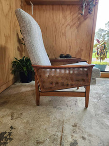 JDM Domo Monster Shaka