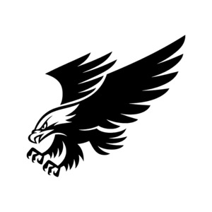 Flying Bald Eagle