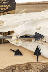 Terra Firma Venator Broadheads 3 Pack StickShooterSupplies