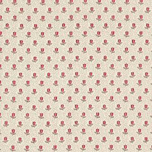 French General: Antoinette Champagne in Pearl