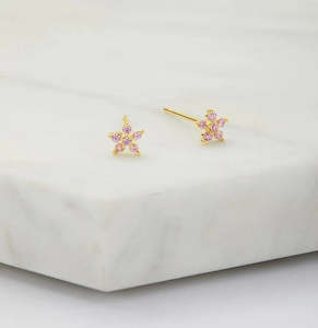 Earrings: Amelia Stud Earring in Sterling Silver and Gold Plate