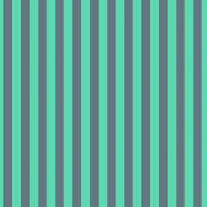 Black Fabric: Ever Glow Tent Stripe in Spirit