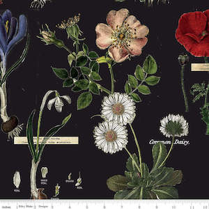 Black Fabric: Art Journal Botanicals in Black