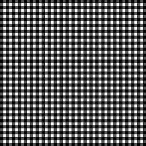 Beautiful Basics Classic Check in Black