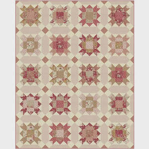 Joie de Vivre - Wishy Washi Quilt Kit