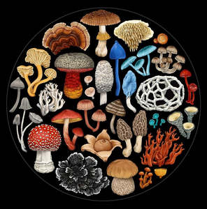 Jigsaw Puzzles: Fungi Round 1000 pc Puzzle
