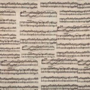 Classically Yours Musical Lines in Cream