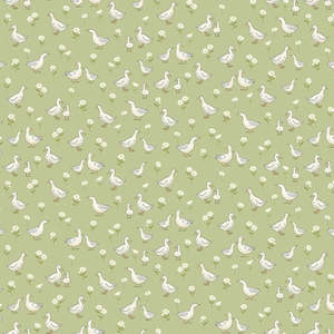 Little Ones Ducks in Green