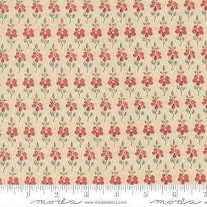 Fleur de Paris Paquerette in Pearl