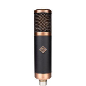 Telefunken Elektroakustik - TF 39 Large-Diaphragm Tube Condenser Microphone