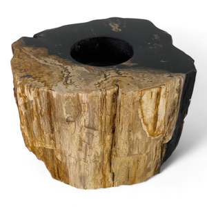 Candle Holder: Petrified Wood Single Tealight Candle Holder 120mm x 110mm (2429)